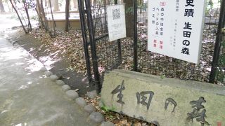 「生田神社」の北側に広がる森林