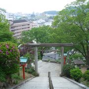 桜切り蕎麦初体験(蕎遊庵)