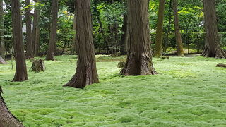 奈良でお寺めぐり2