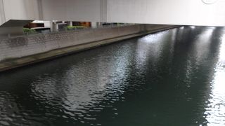 横浜市の中心部を流れる川