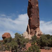 ダーク エンジェル