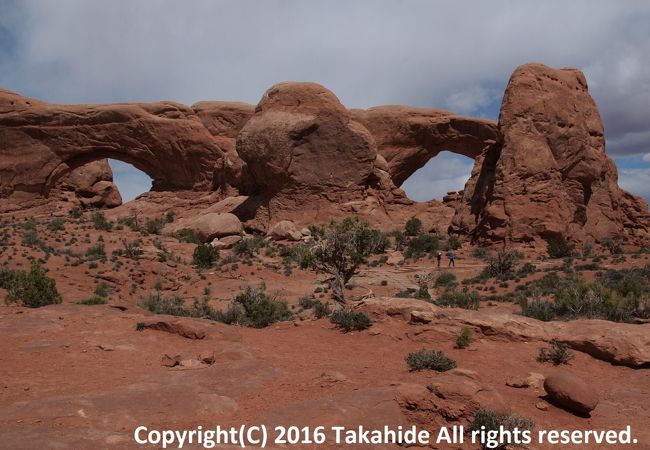 裏にも回れます