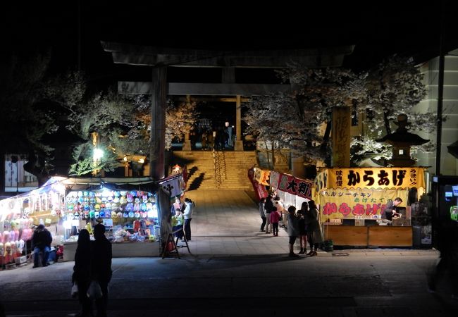 信夫山公園桜まつり クチコミ アクセス 営業時間 福島市 フォートラベル