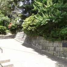 本堂などへの上がり坂