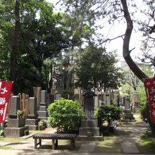 中央が滝沢馬琴墓 (路女の墓は左手奥)