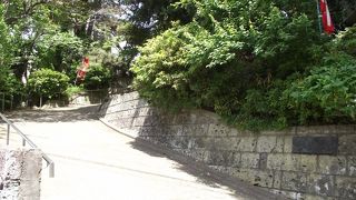 小石川七福神の一つとともに滝沢馬琴墓などがある寺院です