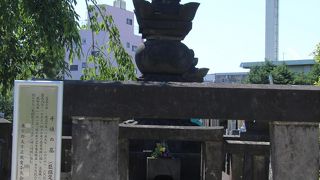 伝通院の墓地にあり