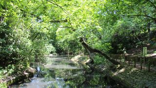 庭園の跡だが荒れ果てた感じ