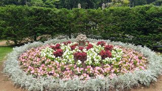 緑と水と花の美しい公園