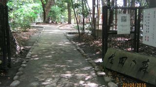 生田神社の裏手にある森です。