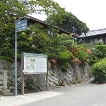 この家の旧宅の屋根裏でザビエル画像が発見された