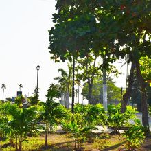 Malecon de Granada 