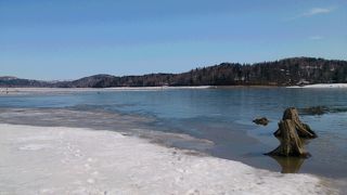 日本最大の人造湖で日本最大の魚を追う