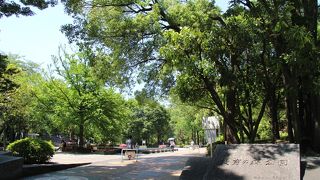 東京教育大学の跡地