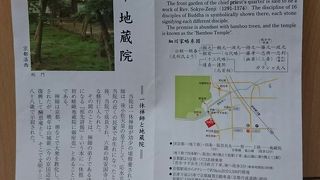 鈴虫寺・苔寺へ訪れたらゼヒ。ひっそりと竹を楽しめます