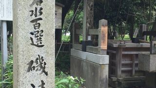 不思議な湧水スポットです！