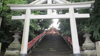 神輿が上ります