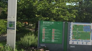 家族連れが多い