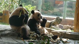 滝城野生動物世界