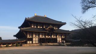 奈良と言えばここ