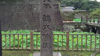 鹿児島では鶴丸城との表示しかありません