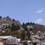 桜の季節がおすすめ