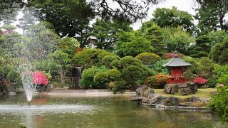 水戸で山紫陽花を堪能してきました♪