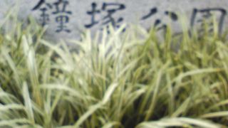 駅前のオアシス