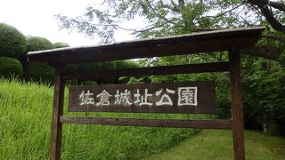 佐倉城址公園　菖蒲田