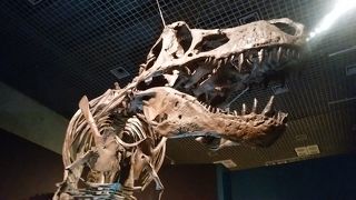 恐竜博2016