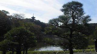 横浜のみならず全国的にも有名な庭園