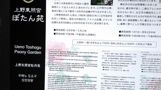 4月下旬から5月が見どころです