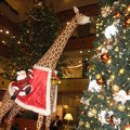 クリスマスシーズンのロビー