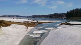 幻の魚が住む日本最大の人造湖