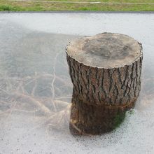 昨年の大賞。常盤公園内の木を彫って展示してあります。