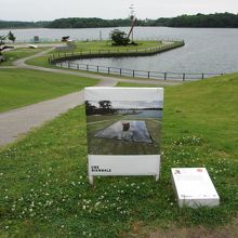 大賞の作品の看板。シロツメグサがぎっしり咲いています。