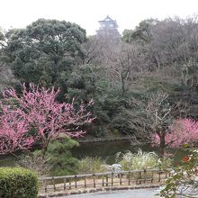 庭園と天守