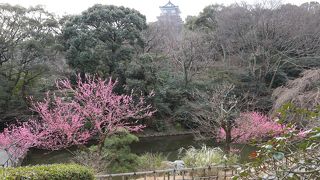 浜松市民の憩いの場