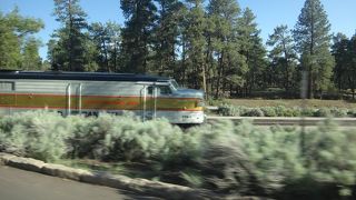 走る本数の限られた観光専用列車