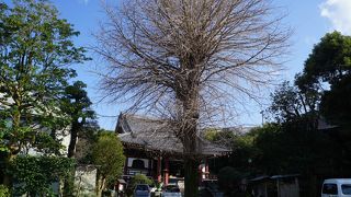 境内には祐光の墓もあります