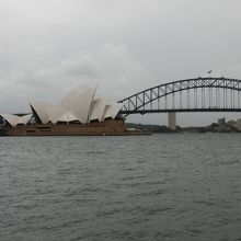 マッコーリーズポイントから