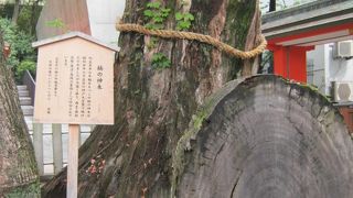 生田の森の中にあります。