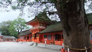 パワーを感じます！