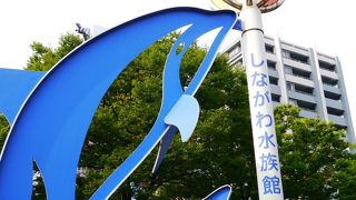 オトナも楽しい。