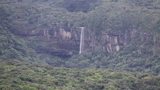 遠くから見ただけ