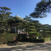 綺麗なお庭を抜けると本堂が