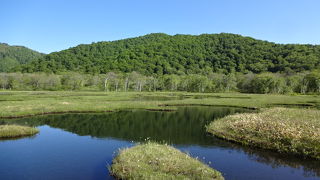 高原に広大な湿原