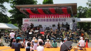 平成28年6月イベント、菖蒲開花時期の水元公園で楽しめました