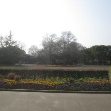 上海動物園