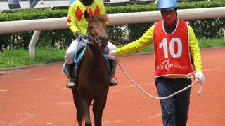 済州競馬公園 (レッツランパーク済州)